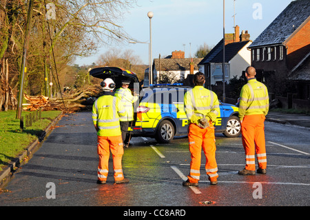 Gli operai aspettano che l'albero della squadra di disconnessione dell'elettricità sia saltato sopra durante la tempesta invernale, l'albero caduto, i cavi vivi, l'auto della polizia stradale chiusa che frequenta l'Essex Inghilterra Regno Unito Foto Stock