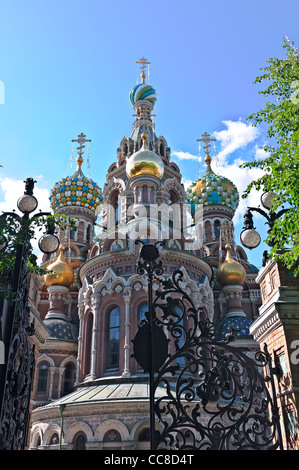 Chiesa del Salvatore sul Sangue - molto famoso punto di riferimento a San Pietroburgo, Russia, Europa Foto Stock