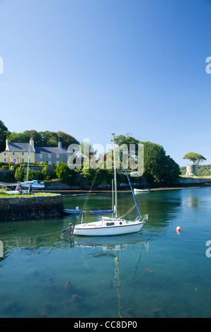 Barche a vela ormeggiata in porto Strangford, Strangford Lough, County Down, Irlanda del Nord. Foto Stock