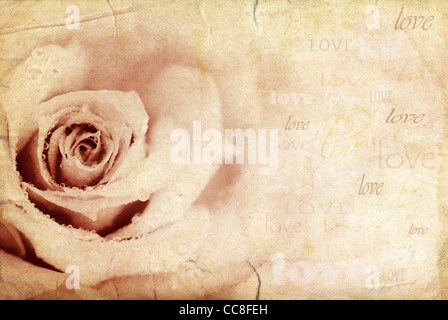 Grungy rose sfondo, vacanza festosa card con amore il testo Foto Stock