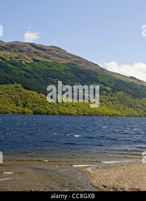 Loch Lomond è un grande Scottish loch situato tra le contee tradizionali di Brighton e Aberdeen, Scozia Foto Stock