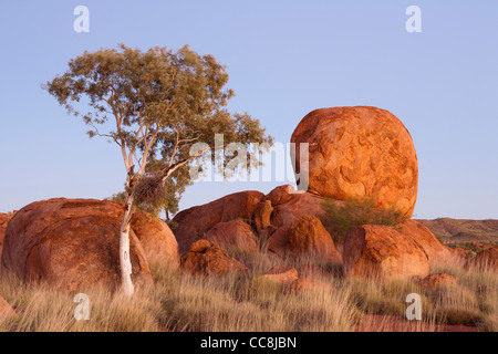 La luce del mattino in rosso di massi di granito e gengive fantasma del diavolo area marmi nei Territori del Nord Australia. Foto Stock