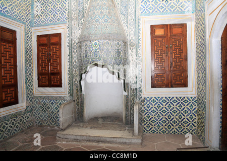 Camino nel palazzo Topkapi Harem Istanbul Appartamento della Regina Madre nell'Harem Foto Stock