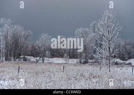 A view of a snow-coated field after a winter storm, Manitoulin Island, Ontario. Foto Stock