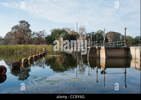 St. Johns distretto di acqua Burrell Lock e sfioratore della diga Leesburg, Florida Foto Stock