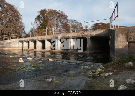 La Burrell Lock e sfioratore della diga situata sull'Haines Creek fiume in Leesburg Florida. Foto Stock