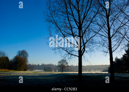 Un pupazzo di neve la mattina in Lloyd Park, Croydon, Surrey, Regno Unito. Immagine orizzontale. Foto Stock