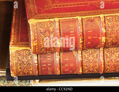 Spine di due volumi rilegati in pelle la bibbia Foto Stock