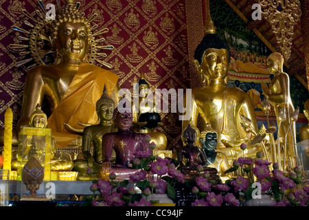 Molti oro statue buddiste sono sul display all'interno di una bellissima pagoda in Chiang Rai, Thailandia. Foto Stock