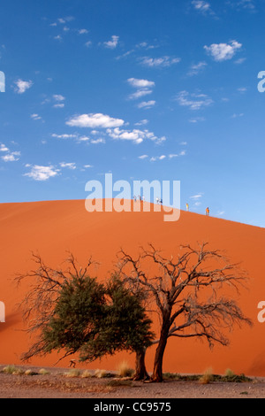 Turisti duna di arrampicata 45, Namibia Foto Stock