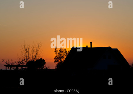 Ricefields nel Delta del Ebro Nature Park. Tarragona. Spagna Foto Stock