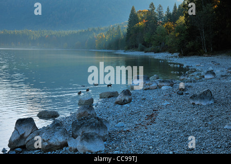 Spiaggia Rocciosa dal lago in autunno, Niedernach, Walchensee, Baviera, Germania Foto Stock