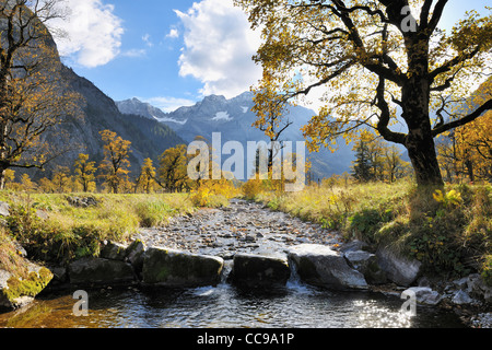Ruscello di montagna in autunno, Grosser Ahornboden, Karwendel, Tirolo, Austria Foto Stock