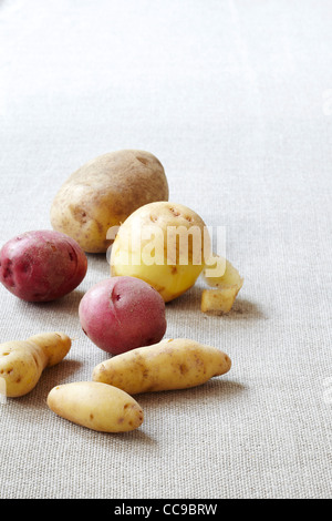 Varietà di patate Foto Stock