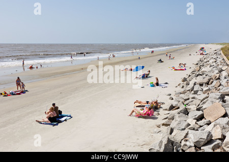 Lucertole da mare e la pittoresca spiaggia ombrelloni sulla spiaggia pubblica a Jekyll Island, Georgia. Foto Stock