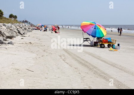 Lucertole da mare e la pittoresca spiaggia ombrelloni sulla spiaggia pubblica a Jekyll Island, Georgia. Foto Stock