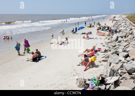 Lucertole da mare sulla spiaggia pubblica a Jekyll Island, Georgia. Foto Stock