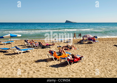 I turisti a prendere il sole sulla spiaggia di Levante in primavera a Benidorm, Spagna Foto Stock