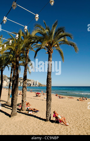 I turisti a prendere il sole sulla spiaggia di Levante in primavera a Benidorm, Spagna Foto Stock