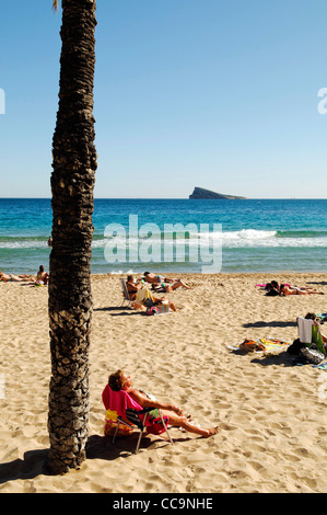 I turisti a prendere il sole sulla spiaggia di Levante in primavera a Benidorm, Spagna Foto Stock