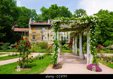 Giardino di Rose e traliccio presso il Parc de la Tete d'Or, Lione, Francia (Patrimonio Mondiale dell'UNESCO) Foto Stock