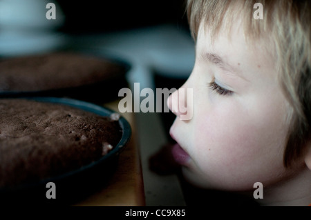 Bambino profumato, guardando una torta al cioccolato appena sfornati Foto Stock