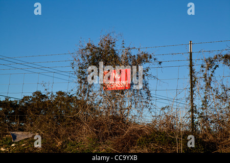 Barbwire recinto con nessun segno di intrusione Foto Stock