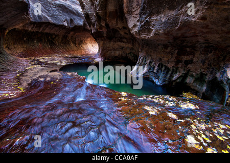 'Turqoise' piscine al metro nel Parco Nazionale di Zion, Utah. Foto Stock