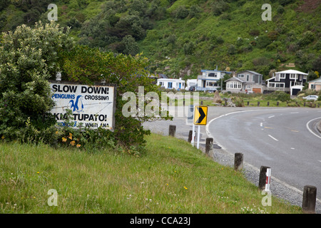 Wellington, Nuova Zelanda. 'Sverso il basso per i pinguini segno, suburbana zona residenziale. Foto Stock