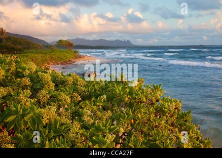 Nukoli io Beach, noto anche come spiaggia di cucine, Lihu'e, Kauai, Hawaii. Foto Stock