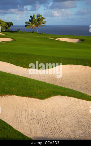 Il XIV foro al Makai Golf, Princeville, Kauai, Hawaii. Foto Stock