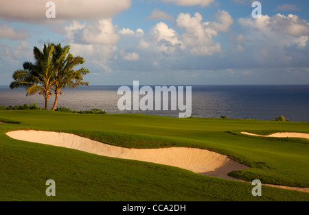 Il XIV foro al Makai Golf, Princeville, Kauai, Hawaii. Foto Stock