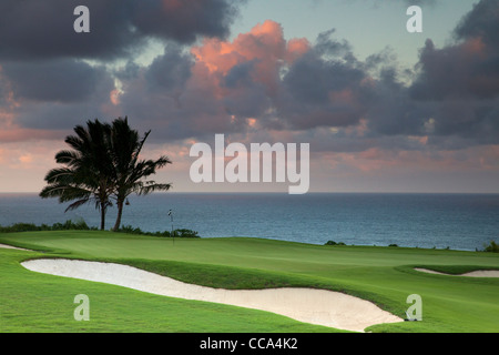 Il XIV foro al Makai Golf, Princeville, Kauai, Hawaii. Foto Stock