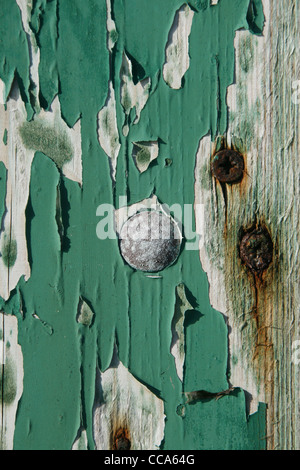 Sfald vernice verde su una vecchia porta di legno superficie Foto Stock