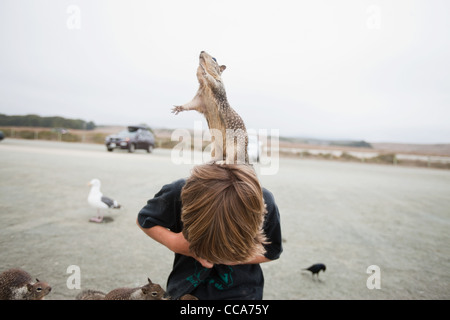 Lo scoiattolo in piedi su un ragazzo del capo Foto Stock