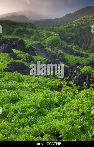 Ohe"o Gulch - aka sette piscine sacra, Haleakala National Park, vicino a Maui, Hawaii. Foto Stock