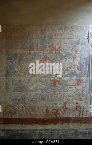 Mastaba di Mereruka. Sacerdote del faraone Teti. Sesta dinastia. Antico Regno. Rilievi raffiguranti scene di vita quotidiana. Saqqara. L'Egitto. Foto Stock