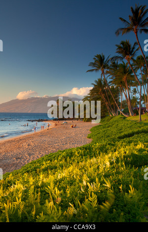 Ulua Beach, Wailea, Maui, Hawaii. Foto Stock