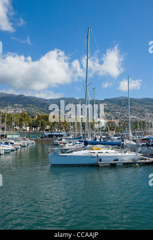 Barche yacht barche ormeggiati nel porto di Marina Funchal Madera Portogallo Europa dell'UE Foto Stock