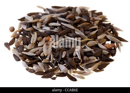 Un mucchio di piccoli semi di lattuga, cicoria, indivia e spinaci (diverse specie) per essere piantato Foto Stock
