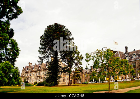 Ashdown Park Hotel di Ashdown Forest, vicino Wych Cross, Sussex Foto Stock