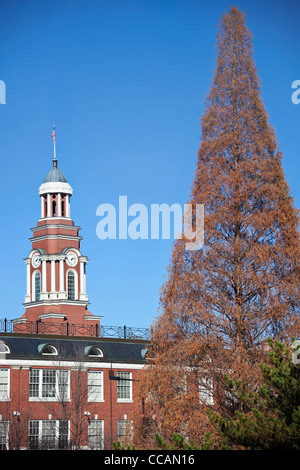 Knoxville courthouse Foto Stock