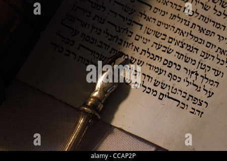 Un argento yad rituale Ebraico puntatore, popolarmente noto come un puntatore alla Torah, utilizzato dal lettore di seguire il testo durante la lettura della Torah da la pergamena torah scrolls Foto Stock