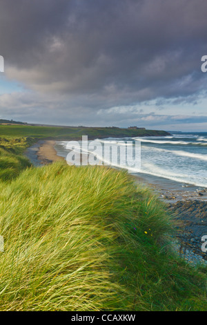 Cocklawburn beach in un tempestoso pomeriggio autunnale, Northumberland, Inghilterra Foto Stock