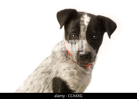 Stock Photo