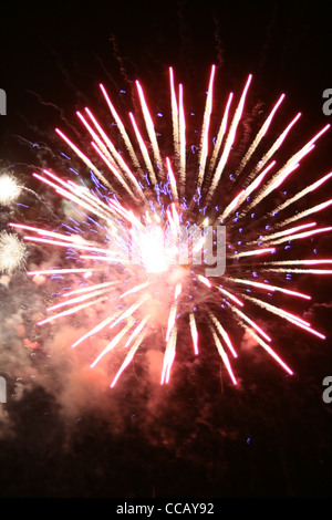 Grande spettacolo di fuochi d'artificio nel cielo notturno Foto Stock