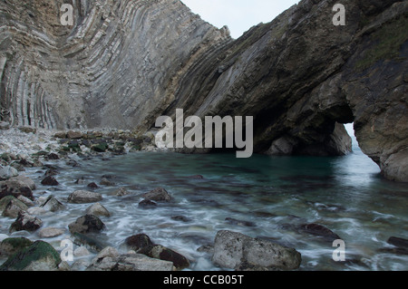 Foro di scale: l'inclinato "Lulworth Crumple" è un esempio da manuale di una roccia calcarea a forma di formazione da terra geologico piegatura. Il Dorset, Inghilterra, Regno Unito. Foto Stock