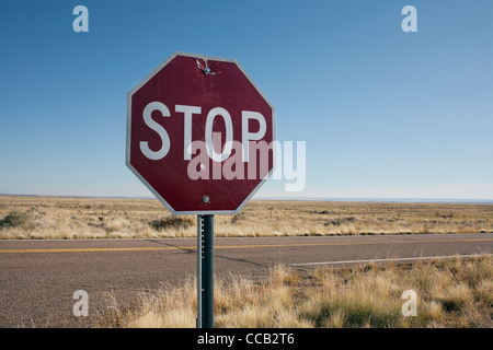 Stati Uniti d'America, Arizona, Winslow, segno di stop nel deserto Foto Stock