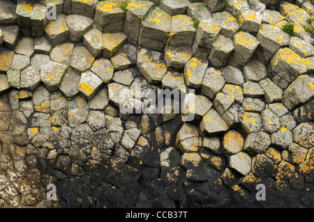 Basalto vulcanico formazioni rocciose sulla staffa, Argyll, Scozia Foto Stock