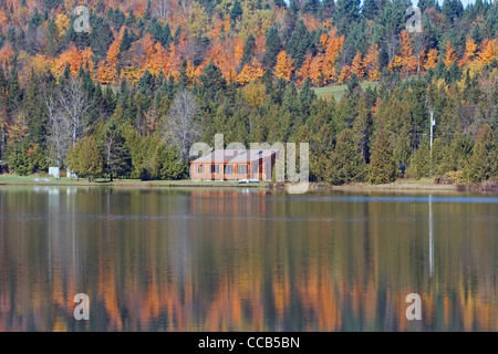 Danville Vermont VT colorato caduta delle foglie si riflette in stagno Foto Stock